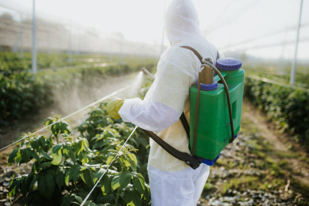  Mccook, NE Pest Control Pros